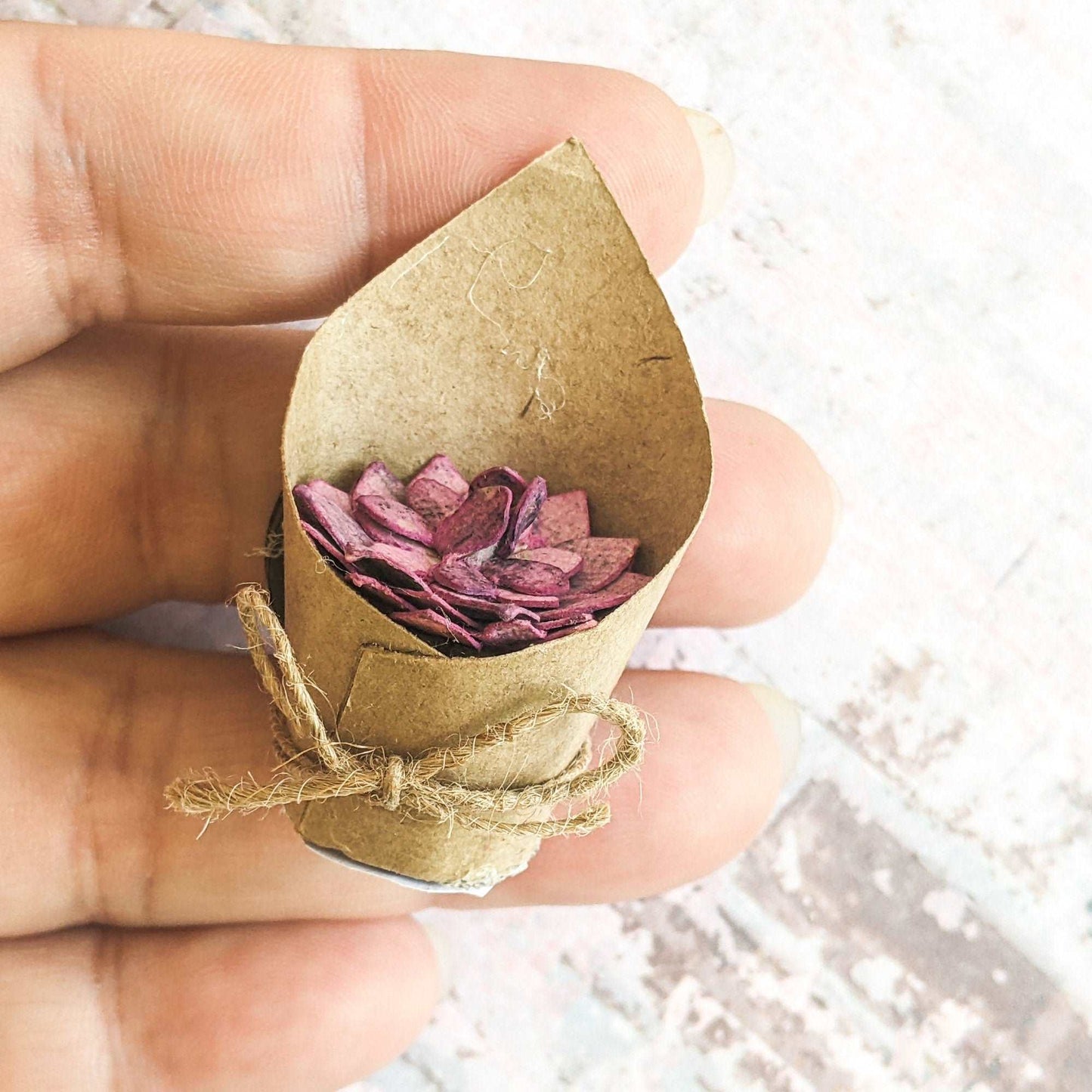 Potted Succulent Magnet