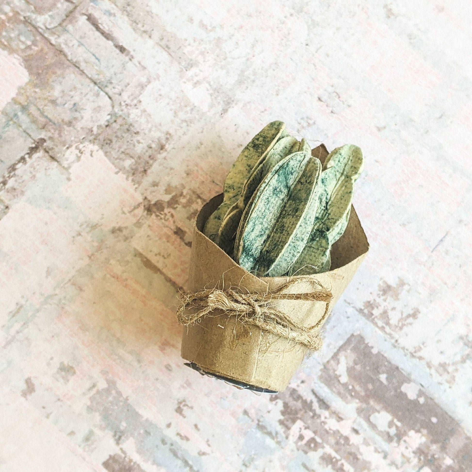 Potted Succulent Magnet