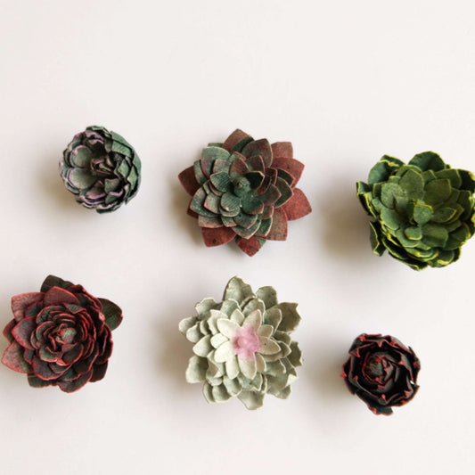 Succulent Magnet