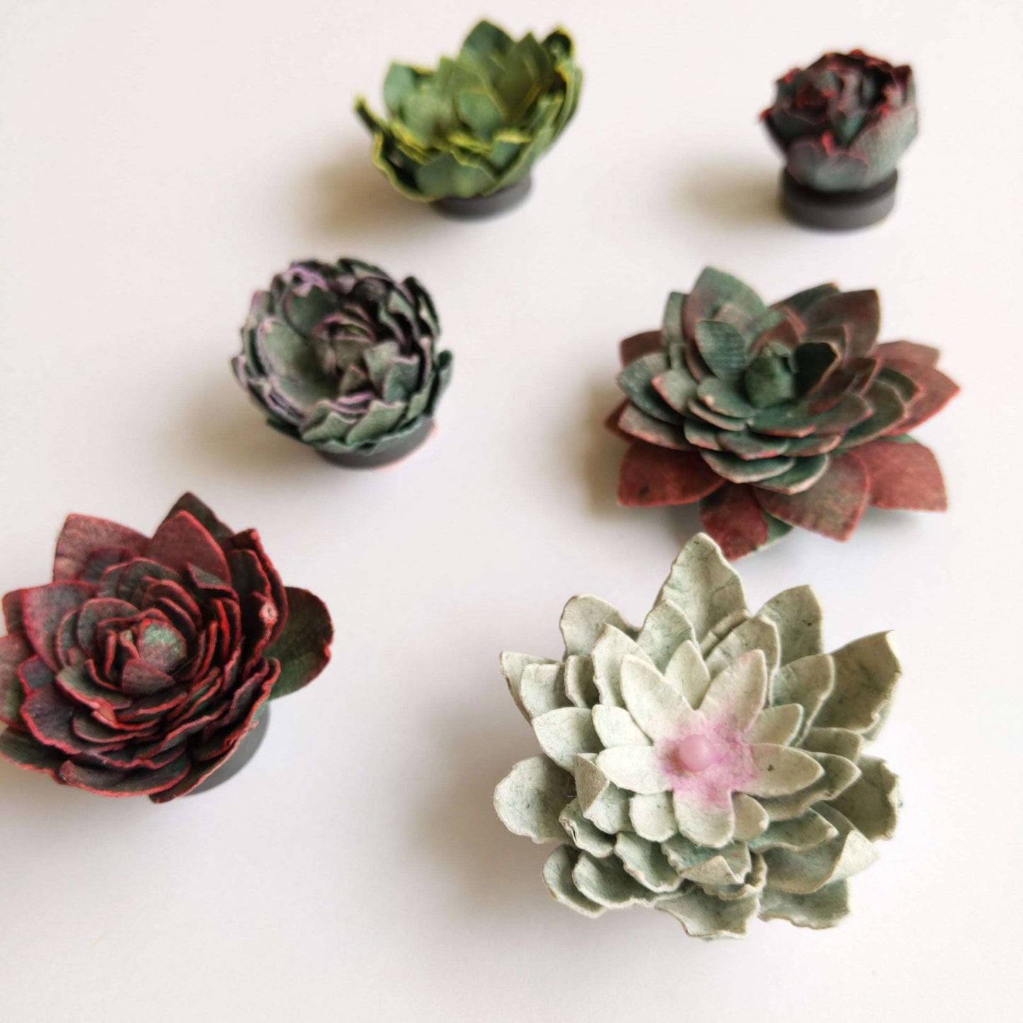 Succulent Magnet