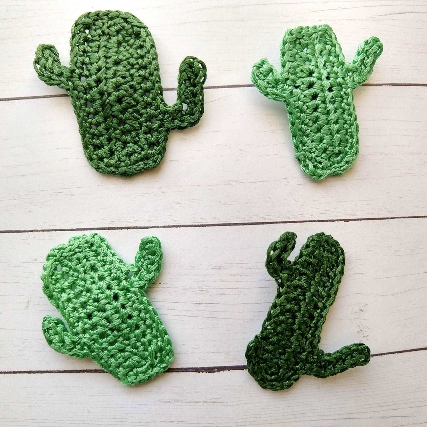 Cactus Crochet Magnet