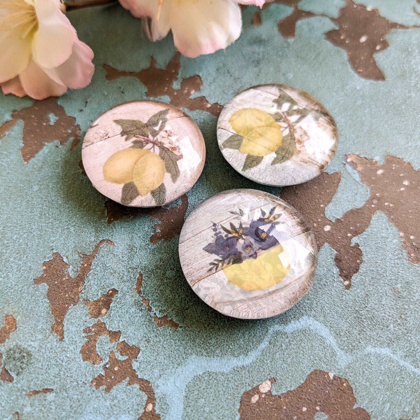 Lemon Glass Magnet - Set of 3