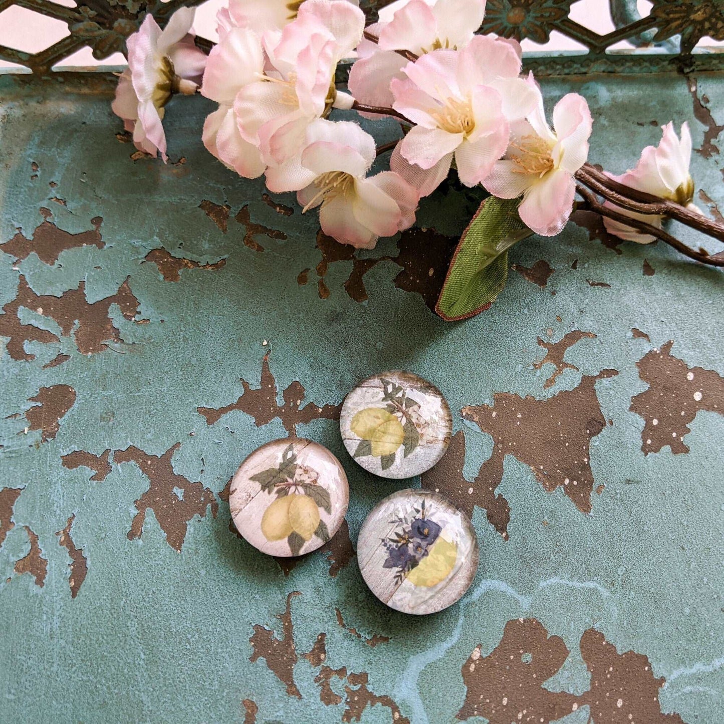 Lemon Glass Magnet - Set of 3