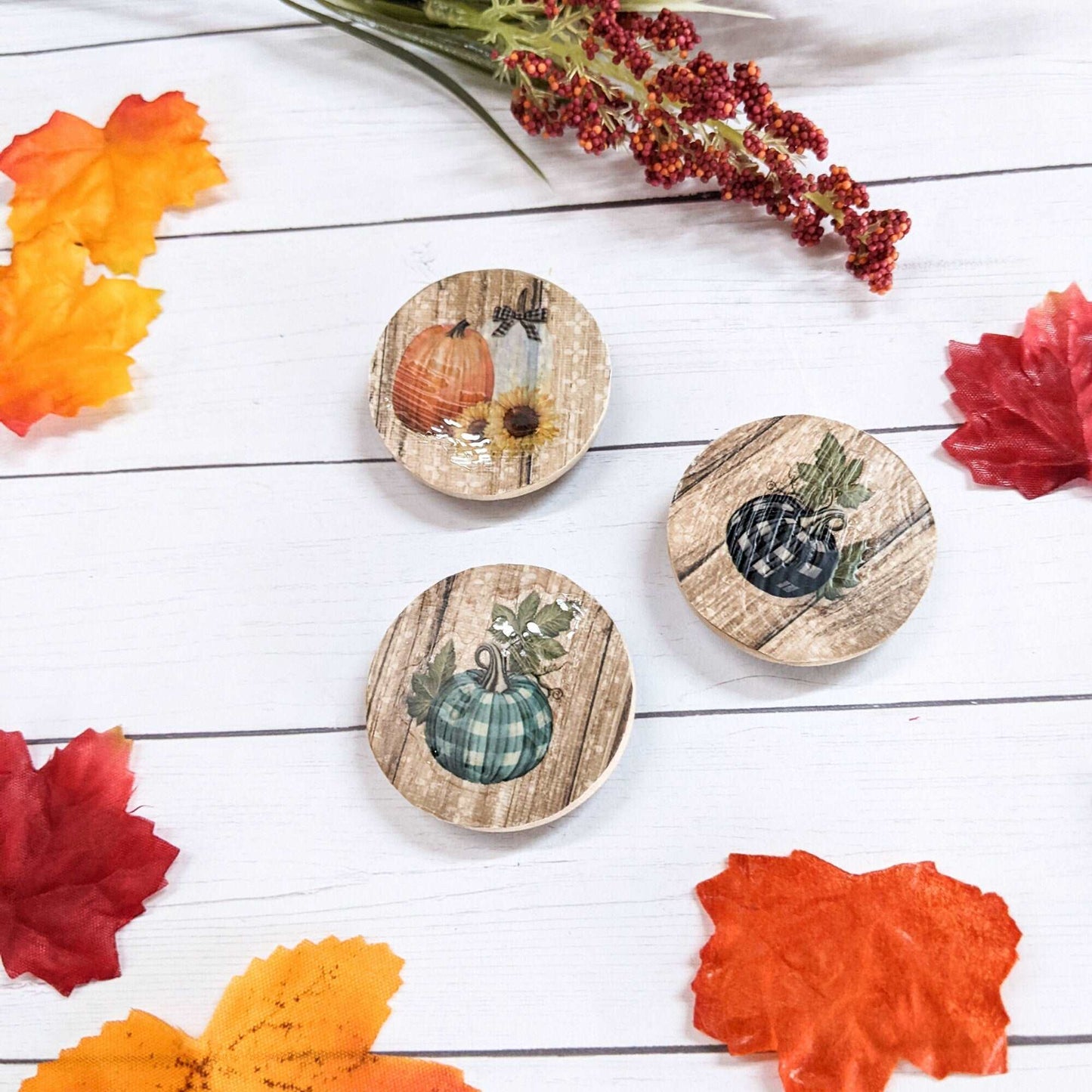 Fall Pumpkin Wood Magnet - Set of 3