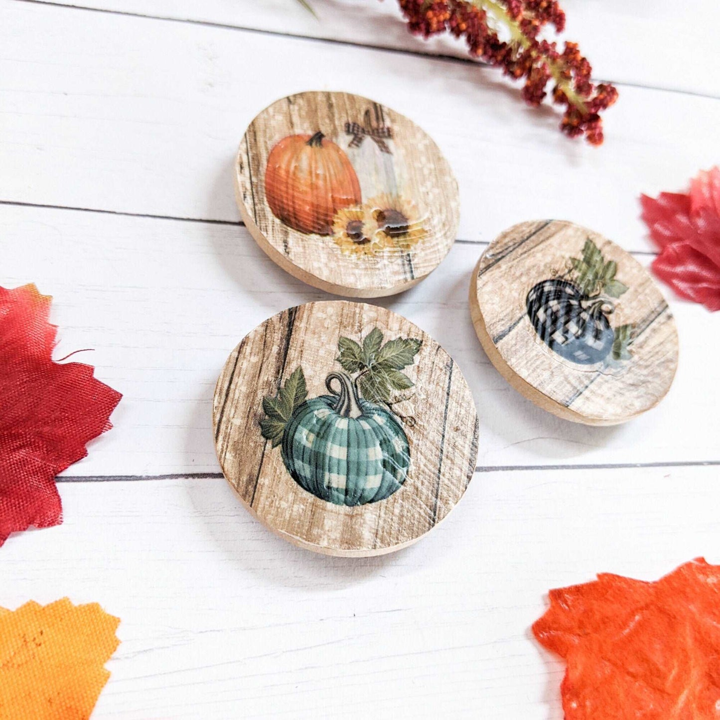 Fall Pumpkin Wood Magnet - Set of 3