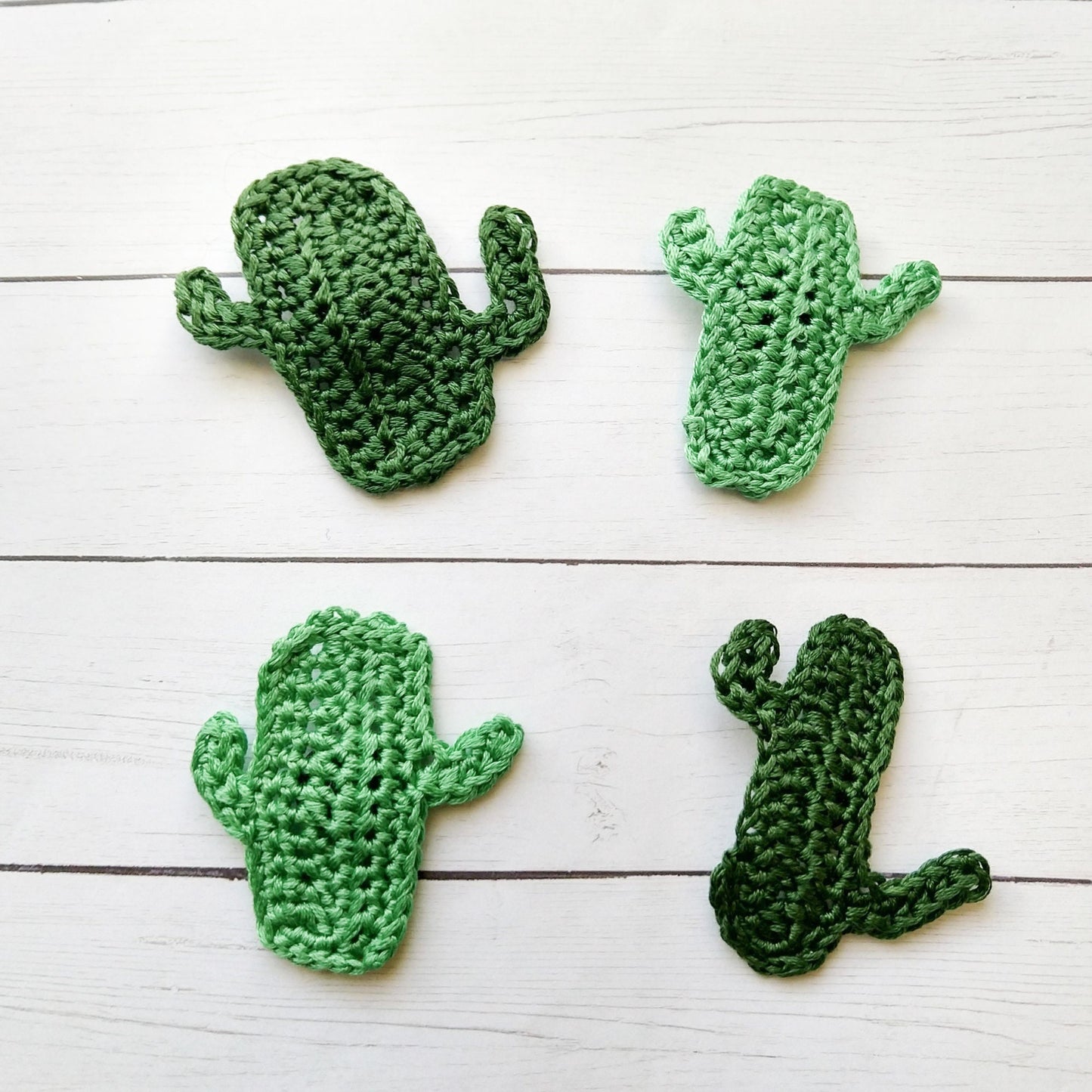 Cactus Crochet Magnet